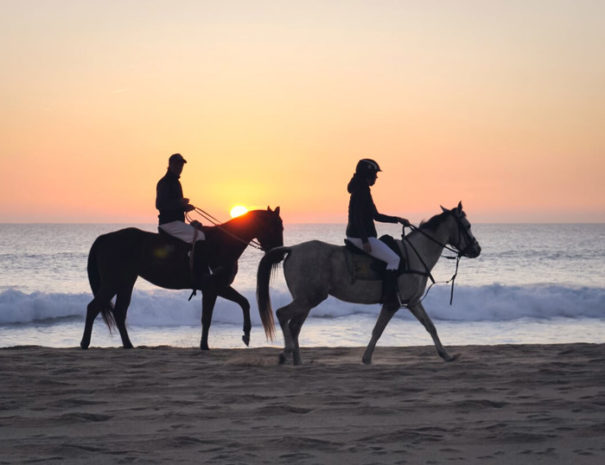 Sundown horseback beachride andalucia