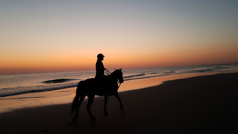 horseback-moonride-andalucia