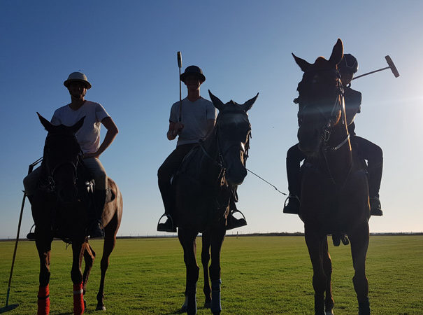 Polo Riding Experience Andalucia